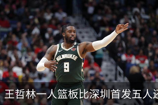 王哲林一人篮板比深圳首发五人还多，真是NBA的梦之队选手！